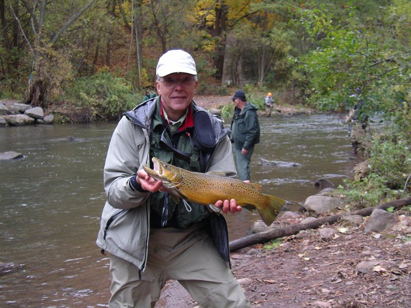 My second brown.JPG